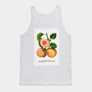 Russian Apricots Lithograph (1900) Tank Top